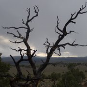 MonoBasin 117 : MonoBasin